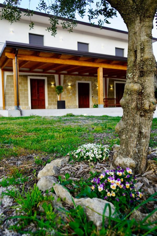 Atomos Bed & Breakfast Alvignano Luaran gambar